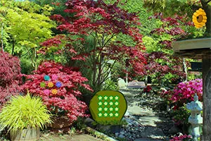 手机娱乐app - 细节